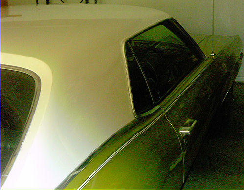 Cougar 2-tone paint dividing strip